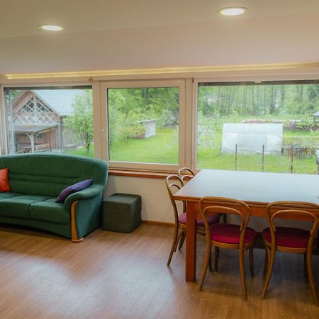Country Retreat, Near Ljubljana City, Apartma Na Vasi, Blizu Mesta Ljubljana Leilighet Medvode Eksteriør bilde
